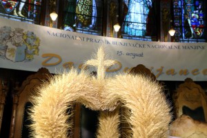 Dan Dužijance - Svečana akademija