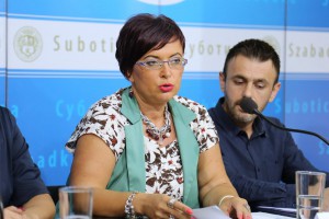 Najava programa za obeležavanje Dan grada 2017