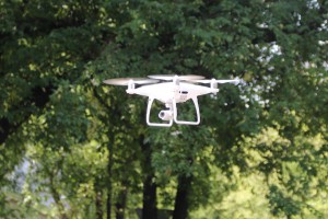 Subotički polumaraton - deonica kroz Štrosmajerovu