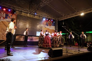 Zavičajni dani 2017: Koncert Željka Vasića