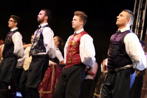 Zavičajni dani 2017: Koncert Željka Vasića