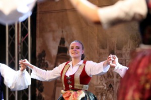 Zavičajni dani 2017: Koncert Željka Vasića