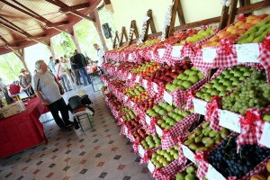 Berbanski dani 2017 - svečano otvaranje