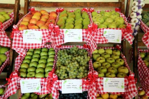 Berbanski dani 2017 - svečano otvaranje