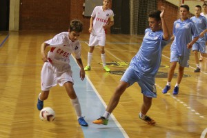 Finale Zavičajnog kupa Republike Srpske u Srbiji 2017