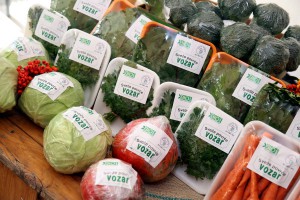 Svečano otvaranje 13. međunarodnog festivala organskih proizvoda - Biofest 2017