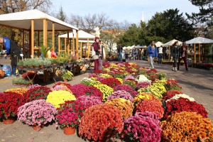 XIII Jesenji sajam cveća "Garden flora"
