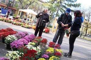 XIII Jesenji sajam cveća "Garden flora"