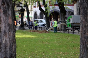 XIII Jesenji sajam cveća "Garden flora"