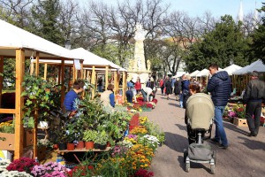 XIII Jesenji sajam cveća "Garden flora"