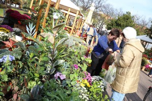 XIII Jesenji sajam cveća "Garden flora"