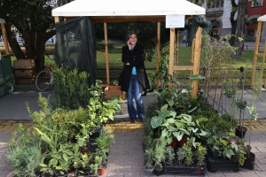 XIII Jesenji sajam cveća "Garden flora"