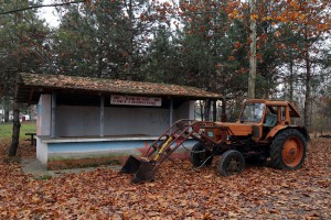 Polaganje venaca na skulturu Josipu Brozu Titu u Mini Jugoslaviji
