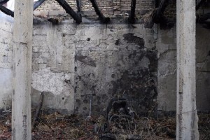 Požar u dvorištu porodičnog gazdinstva Šimona Ostrogonca