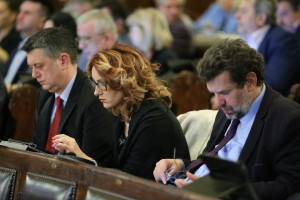 13. sednica Skupštine grada