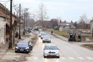 Povratak sa seče badnjaka u šumi na Makovoj sedmici