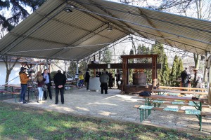 Rezidba loze na dan Svetog Vinka