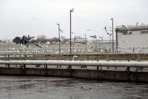 Konferencija za medije