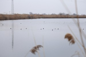 Konferencija za medije