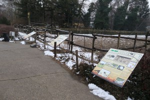 U poseti stanovnicima Zoo vrta tokom zime