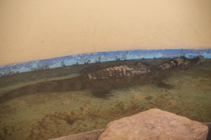 U poseti stanovnicima Zoo vrta tokom zime