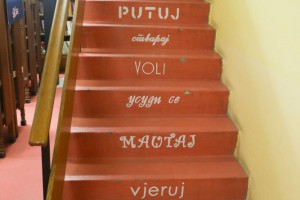 Police prepune knjiga različitih žanrova