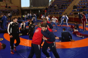 Rvanje: 1. Kup Srbije za seniore