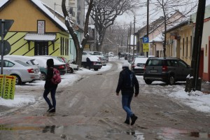 Poslednji trzaji zime...