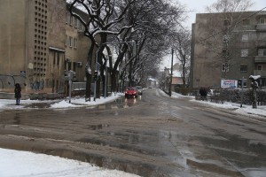 Poslednji trzaji zime...