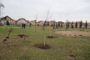 Ozelenjavanje predškolskih ustanova na teritoriji Subotice
