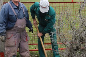 Ozelenjavanje predškolskih ustanova na teritoriji Subotice