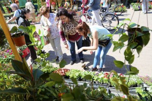 Svečano otvaranje izložbe i vašara baštenskog cveća i sadnica - "Garden flora 2018"