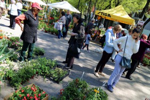 Svečano otvaranje izložbe i vašara baštenskog cveća i sadnica - "Garden flora 2018"