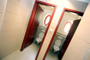 Obilazak radova na Paliću