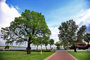 9. Turistički forum na Paliću