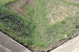 Obilazak sistema za navodnjavanje (podsistem Tisa-Palić)