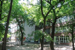 Performans učenika "Zagrlimo školu"