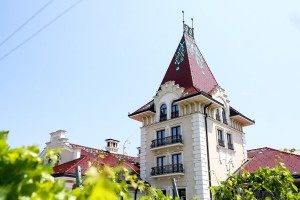 Otkrivanje bisti sastavu "8 tamburaša" i Zvonku Bogdanu