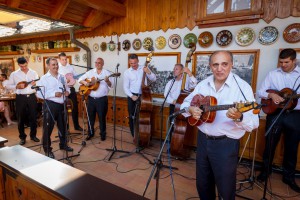 Otkrivanje bisti sastavu "8 tamburaša" i Zvonku Bogdanu + koncert i druženje