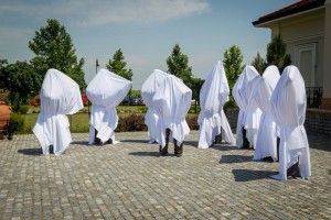 Otkrivanje bisti sastavu "8 tamburaša" i Zvonku Bogdanu + koncert i druženje