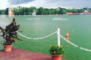 56. međunarodna veslačka regata "Vojvodina Open"