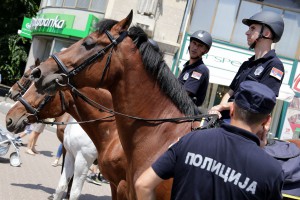 Brnabić, Stefanović i Vulin u obilasku pripadnika MUP-a i vojske Srbije