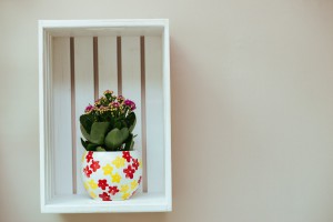 Otvaranje cvećare "Red Rose"