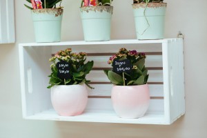 Otvaranje cvećare "Red Rose"