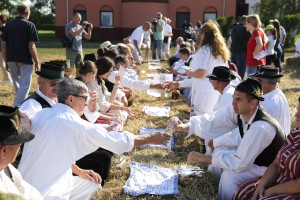 Dužijanca 2018 - Takmičenje risara, album #1