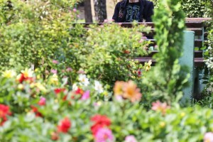 Prezentacija projekta "Smanjenje isključenosti Roma iz primene socijalne zaštite - Brigom protiv predrasuda"