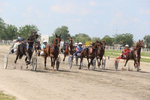 Konjičke trke - 4. dan