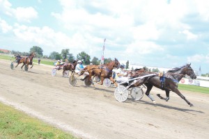 Konjičke trke - 4. dan