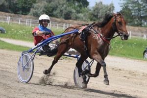 Konjičke trke - 4. dan