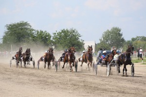 Konjičke trke - 4. dan